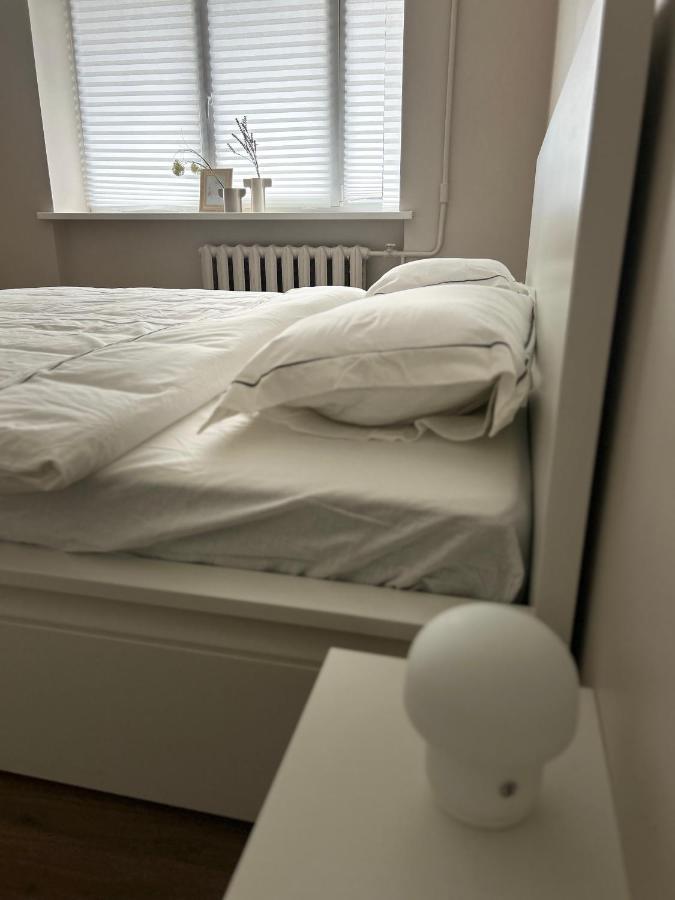 Skandi Appartments In Saldus City Center Экстерьер фото