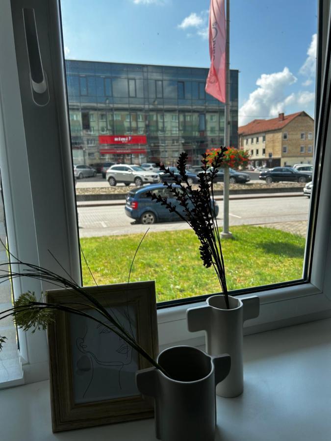 Skandi Appartments In Saldus City Center Экстерьер фото